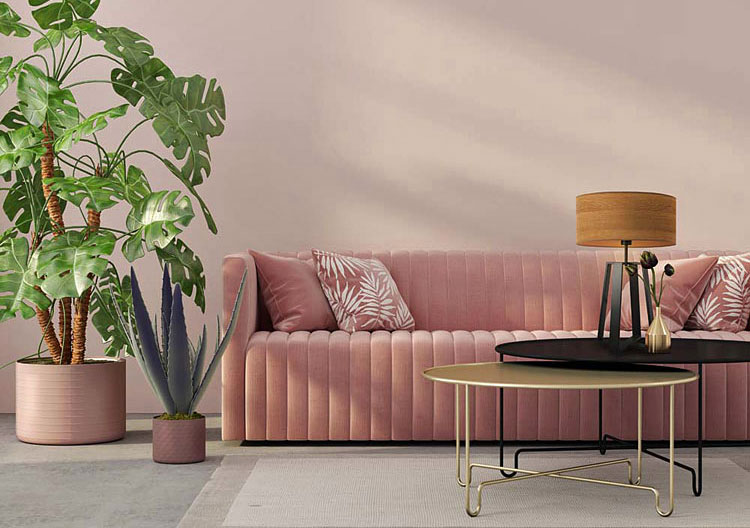 welurowa tapicerowana kanapa w kolorze pudrowego różu 
